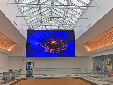 Desay Series M · direct view LED panel · stage and installation · indoor outdoor · novastar · review · price · cost