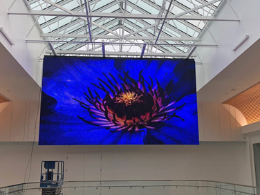 Desay Series M · direct view LED panel · stage and installation · indoor outdoor · novastar · review · price · cost