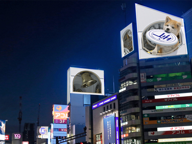 Desay Series M · direct view LED panel · stage and installation · indoor outdoor · novastar · review · price · cost