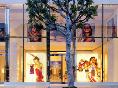 Desay Series SW · direct view LED · fine pixel indoor installation panel  · storefront window glass · novastar vision management platform · review · price · cost